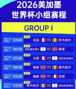 体彩网关于世界杯